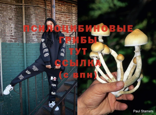 трава Абинск
