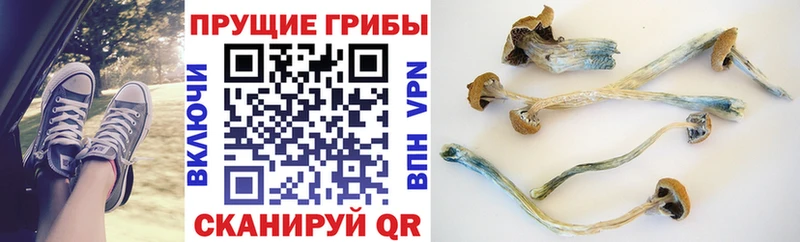 Галлюциногенные грибы Magic Shrooms купить закладку Александровск-Сахалинский